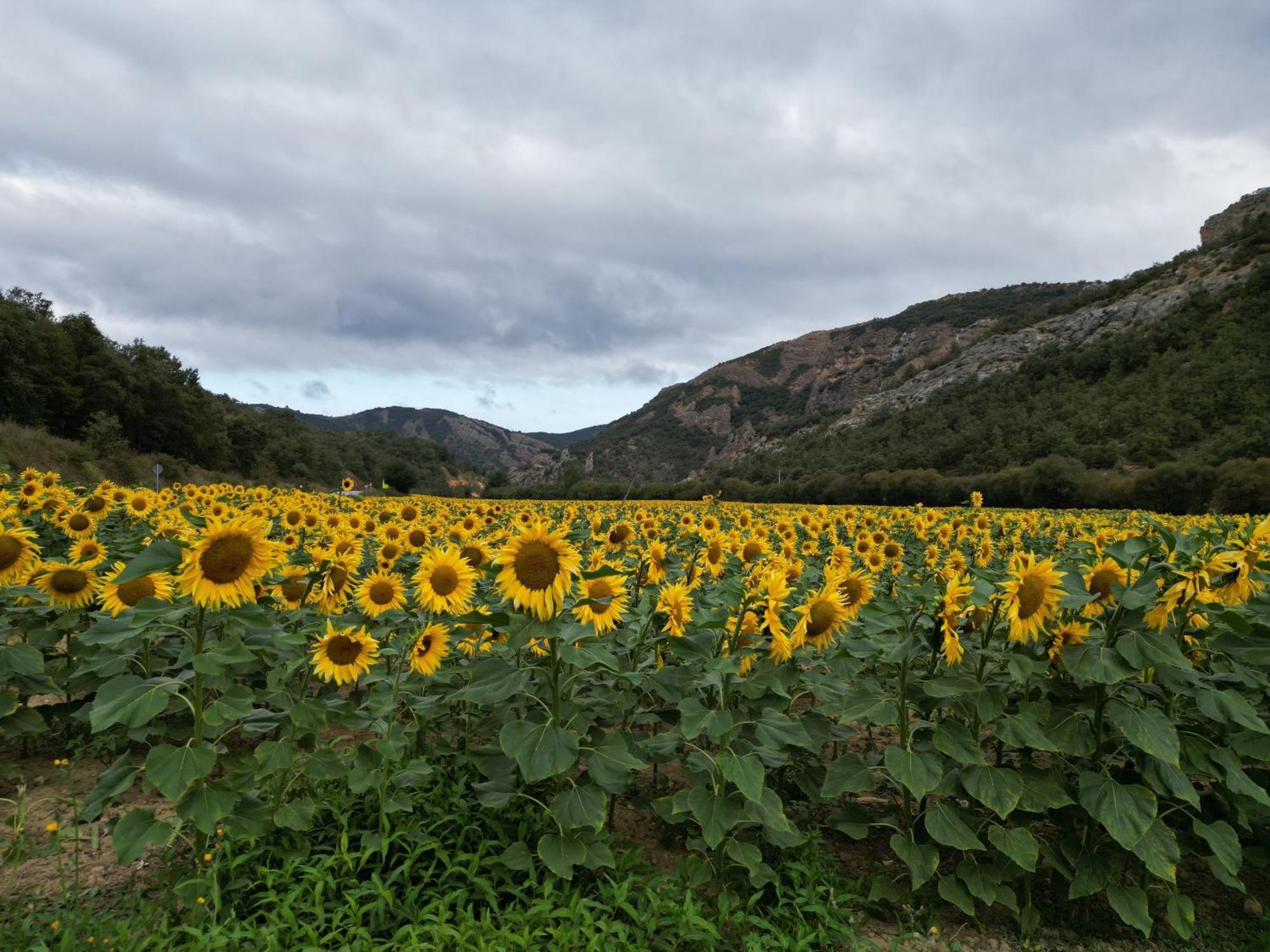 Hotel Rural Rio Molinar Ranera Экстерьер фото